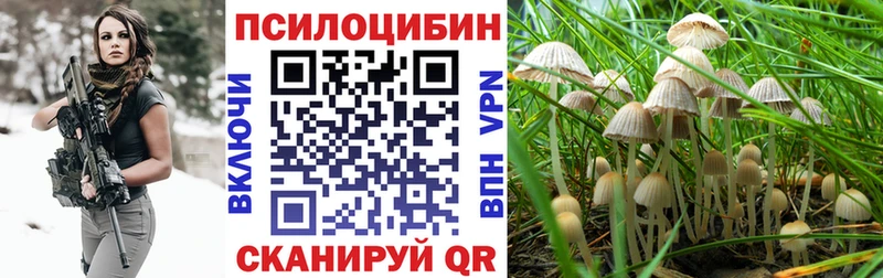 купить наркоту  Кстово  Псилоцибиновые грибы MAGIC MUSHROOMS 